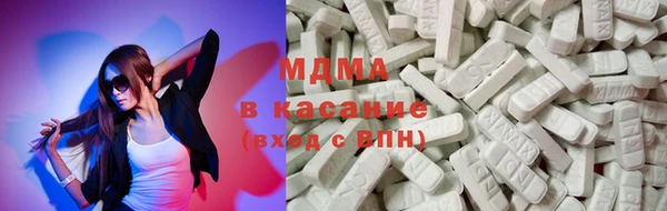 индика Инсар