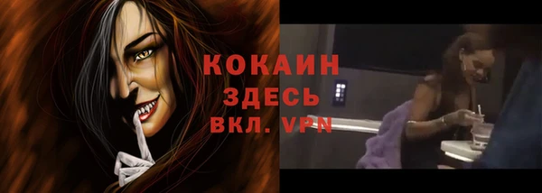 гидра Зеленокумск