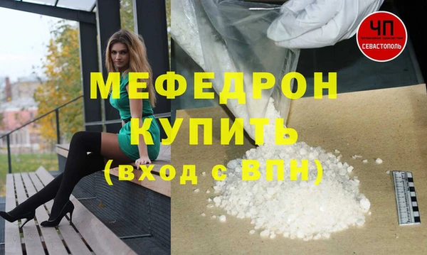 индика Инсар