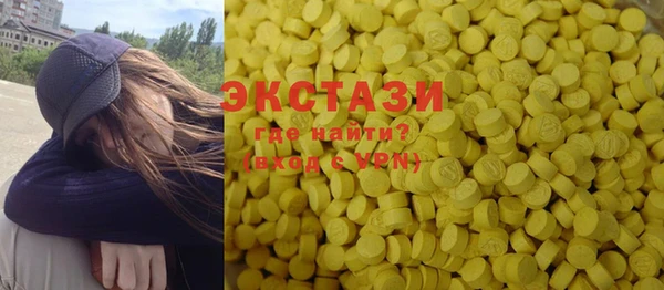 индика Инсар