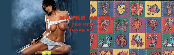 индика Инсар