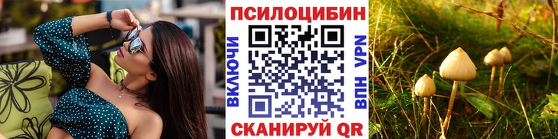 Галлюциногенные грибы Psilocybine cubensis  Купить закладки  Верхний Уфалей 